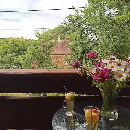 Egy Makovecz Imre Tervezte Házban Apartman *